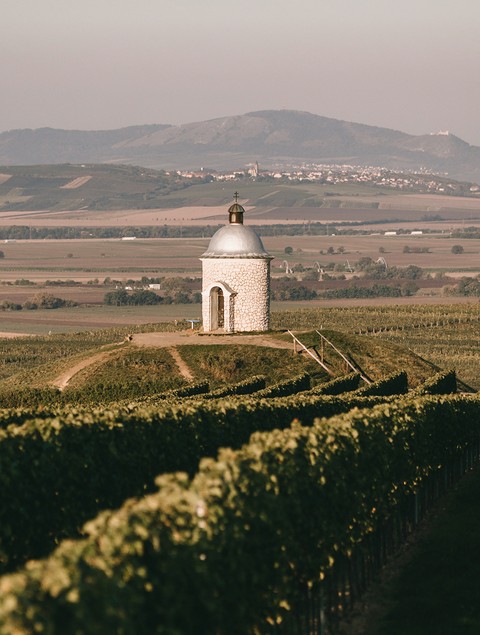 Velké bílovice